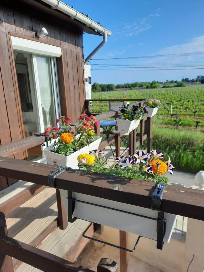 Le Domaine De Canesse Saint-Ciers-de-Canesse Eksteriør bilde